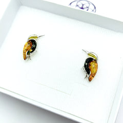 Aretes Colibri de Ambar Baltico Plata 925