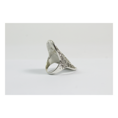 ANILLO FRACTALES