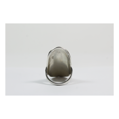 ANILLO FRACTALES