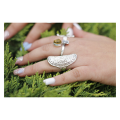 ANILLO FRACTALES