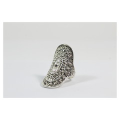 ANILLO FRACTALES