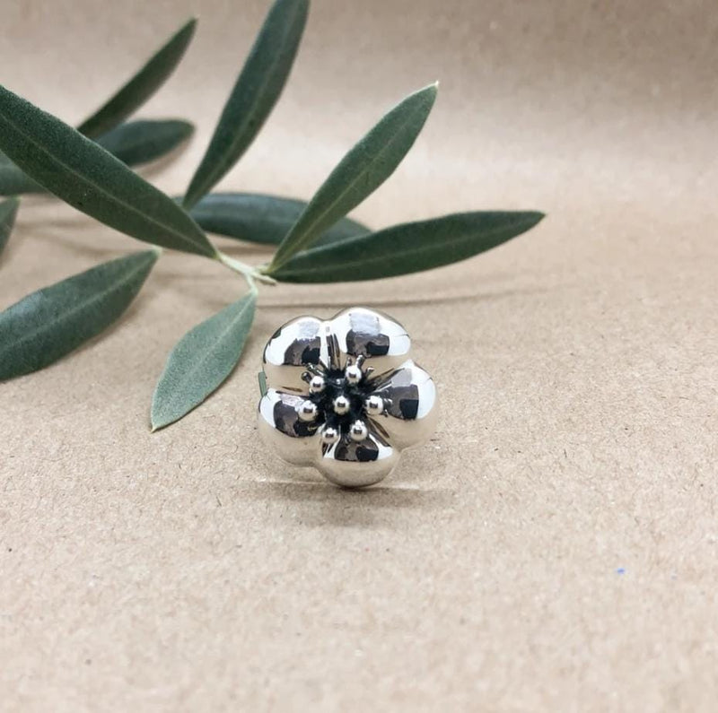 ANILLO PISTILOS